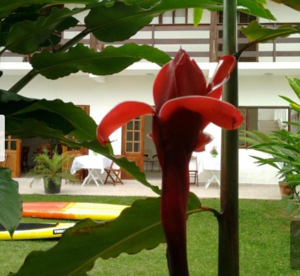 Itaguá * Ubatuba